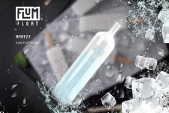 FLUM FLOAT 3000 bocanadas | Flum Pebble Vape Review 0FHZ2819 brisa