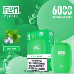 FLUM PEBBLES 6000 bocanadas | Flum Pebble Precio 0FHZ2824 menta fresca