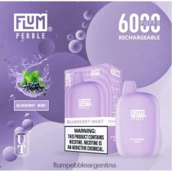 FLUM PEBBLES 6000 bocanadas | Flum Pebble Vape Near Me 0FHZ2817 menta de arándanos