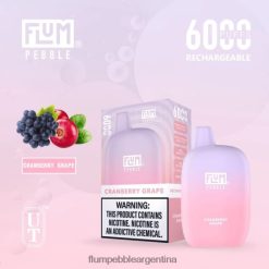 FLUM PEBBLES 6000 bocanadas | Flum Pebble Vape Near Me 0FHZ2827 uva de arándano