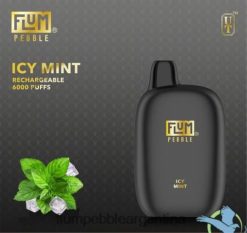 FLUM PEBBLES 6000 bocanadas | Flum Pebble Vape Review 0FHZ2849 menta helada