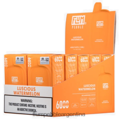 FLUM PEBBLES 6000 inhalaciones 10 paquetes | Flum Pebble Argentina 0FHZ2851 sandia deliciosa