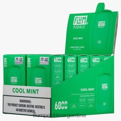 FLUM PEBBLES 6000 inhalaciones 10 paquetes | Flum Pebble Mayoreo 0FHZ2826 menta fresca