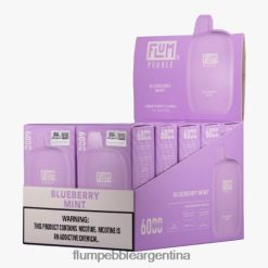 FLUM PEBBLES 6000 inhalaciones 10 paquetes | Flum Pebble Vape Flavors 0FHZ2818 menta de arándanos