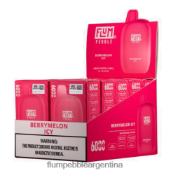 FLUM PEBBLES 6000 inhalaciones 10 paquetes | Flum Pebble Vape Flavors 0FHZ288 melón helado